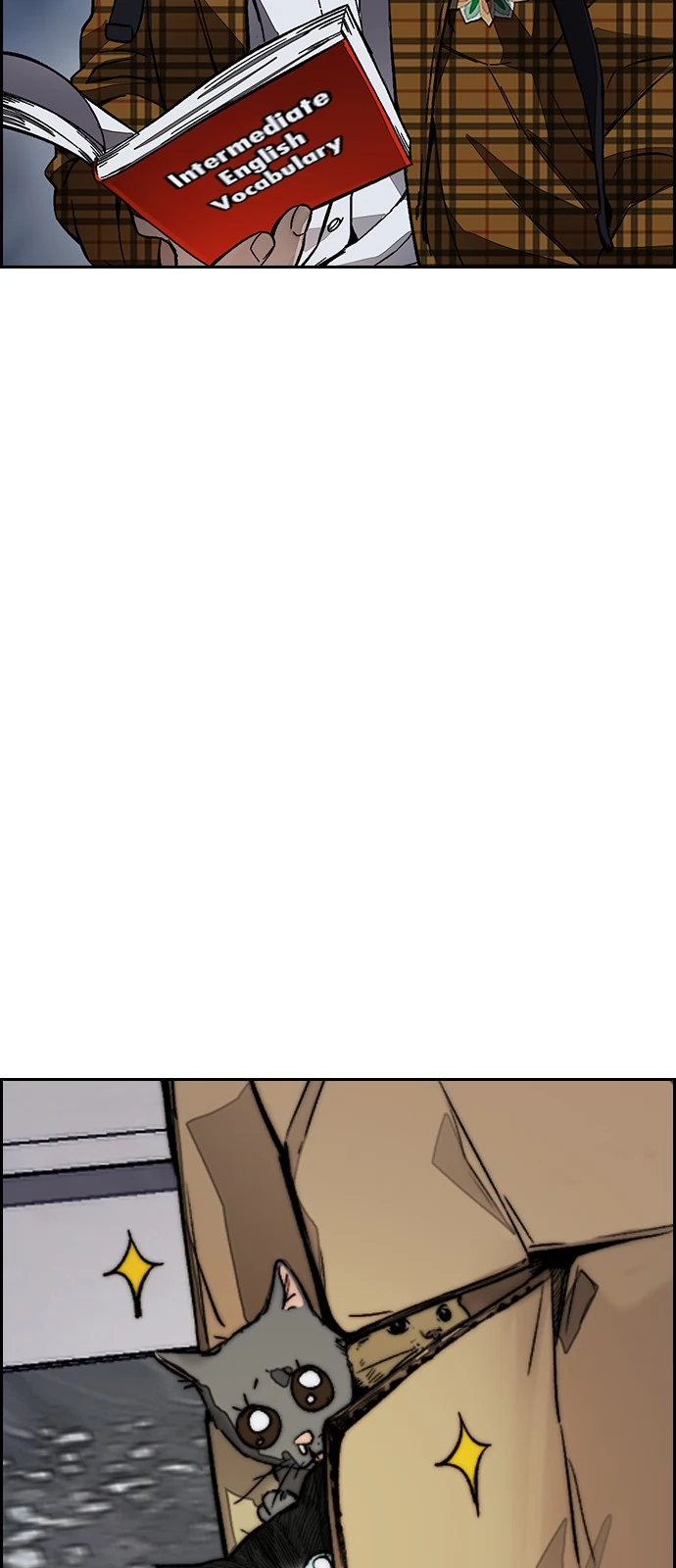 Read Wind Breaker TR Manga Online