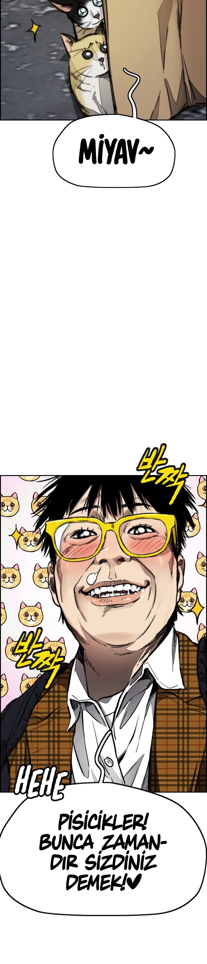 Read Wind Breaker TR Manga Online