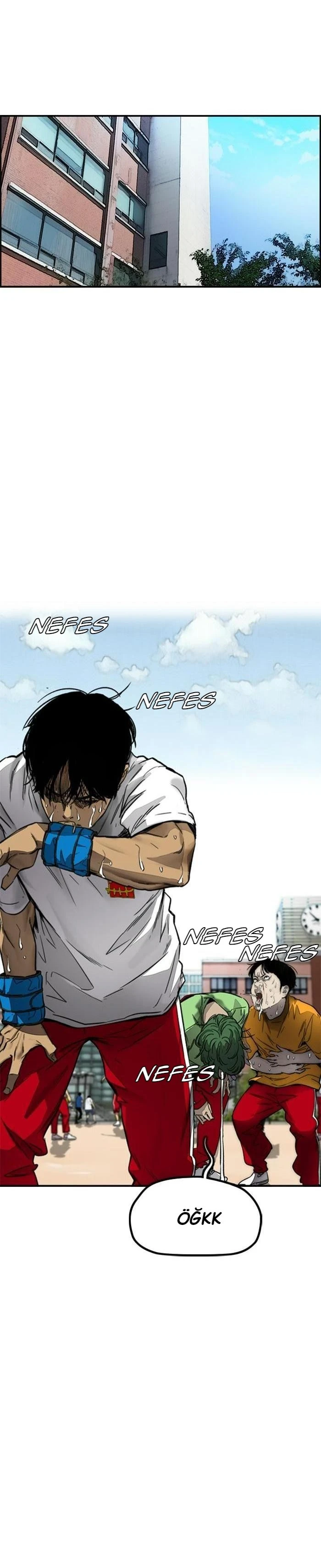 Read Wind Breaker TR Manga Online