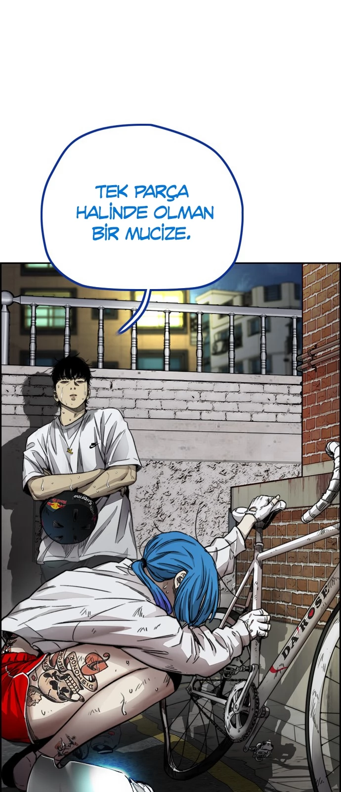 Read Wind Breaker TR Manga Online