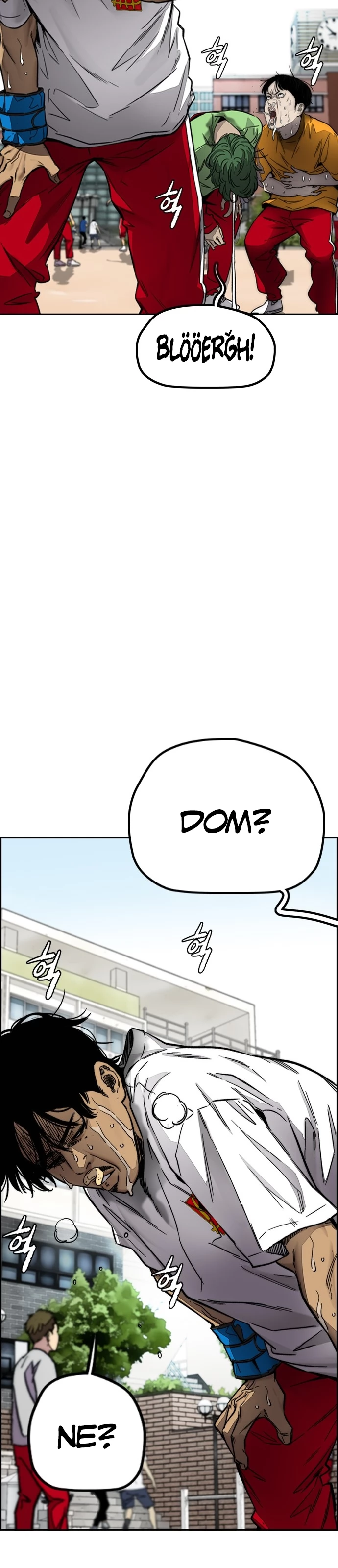 Read Wind Breaker TR Manga Online