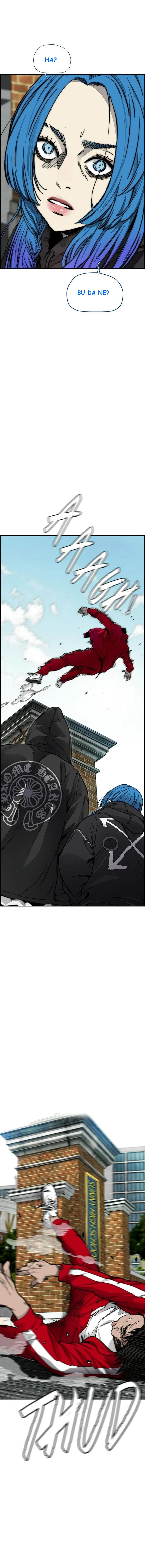Read Wind Breaker TR Manga Online