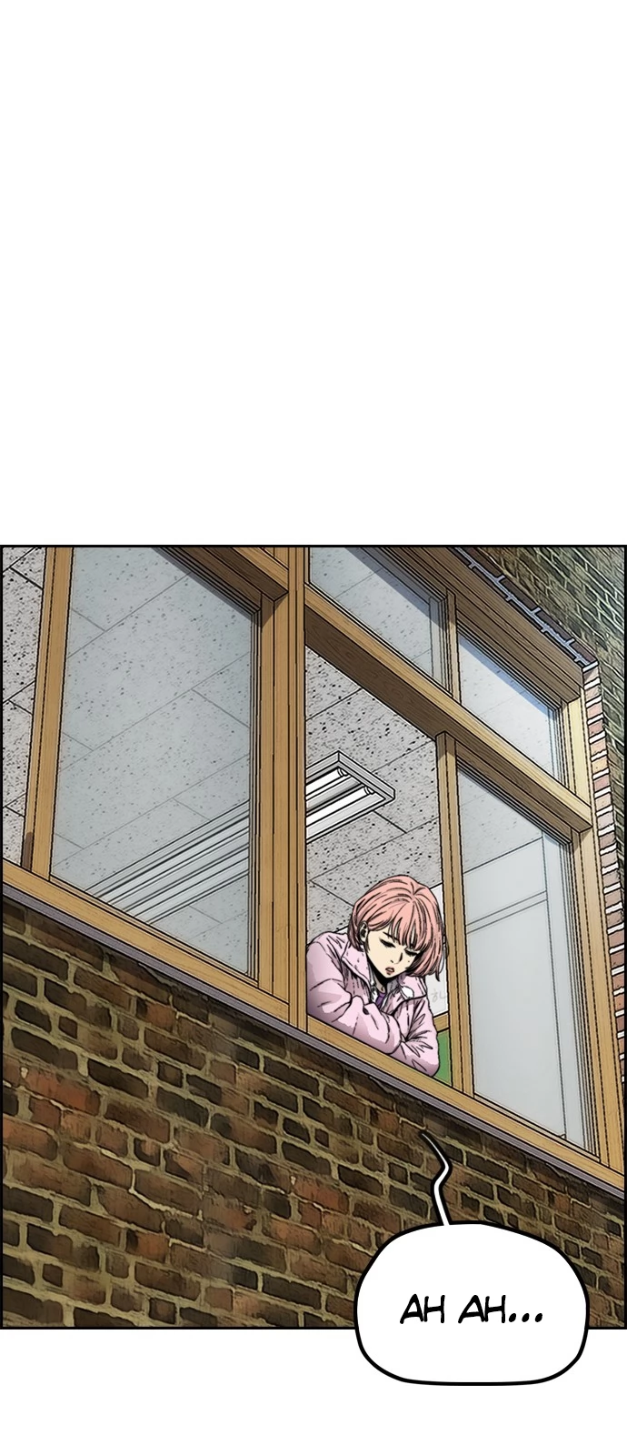 Read Wind Breaker TR Manga Online