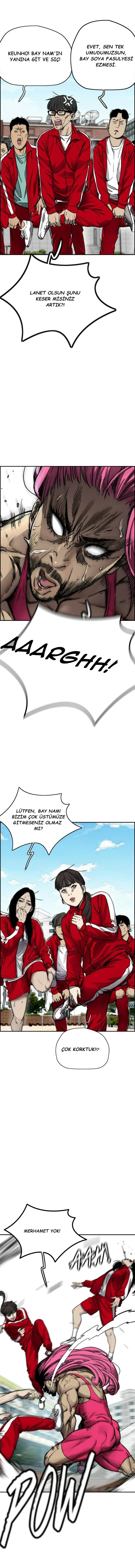 Read Wind Breaker TR Manga Online