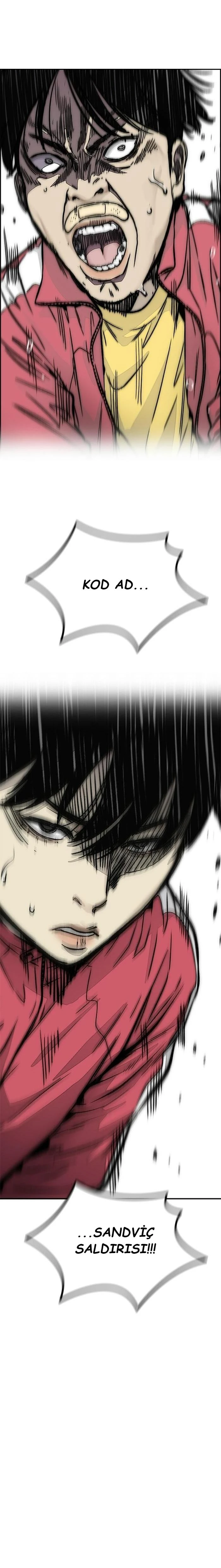 Read Wind Breaker TR Manga Online