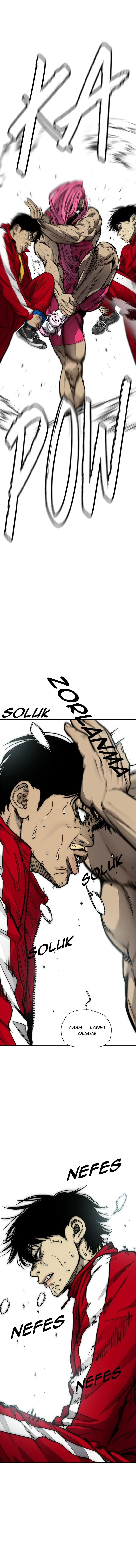 Read Wind Breaker TR Manga Online