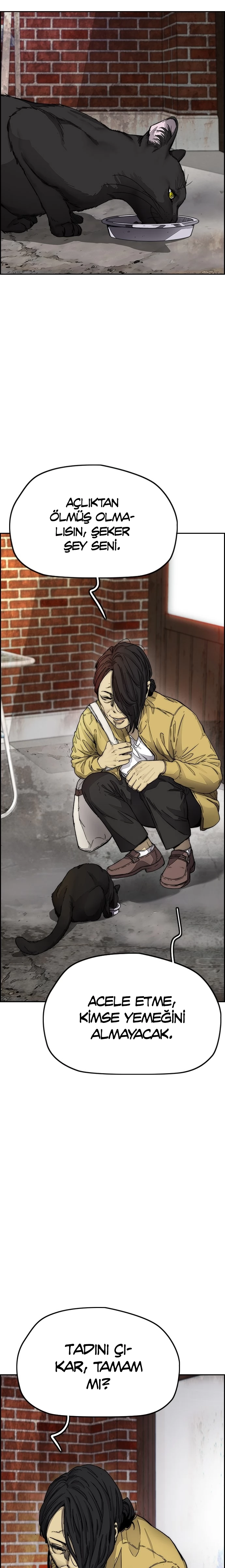 Read Wind Breaker TR Manga Online