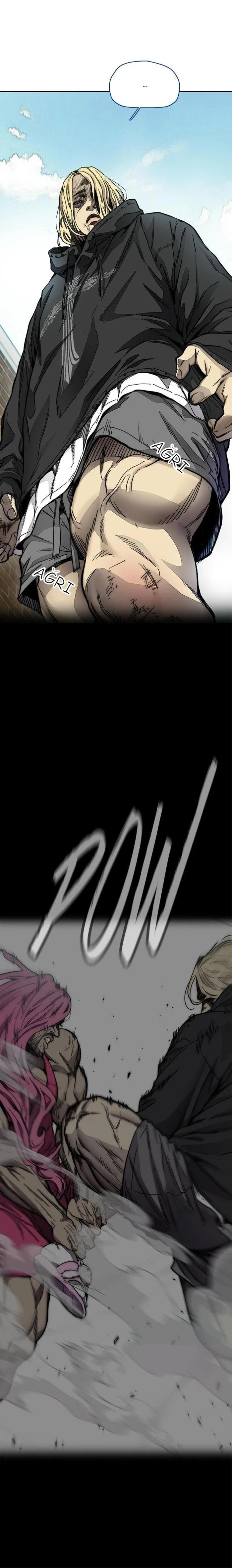 Read Wind Breaker TR Manga Online