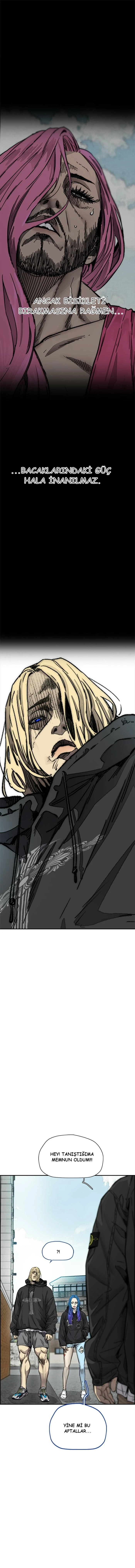 Read Wind Breaker TR Manga Online
