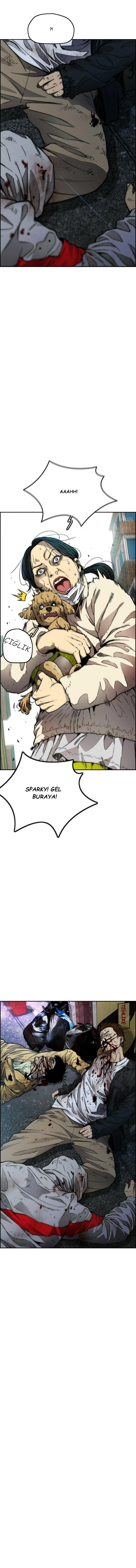 Read Wind Breaker TR Manga Online