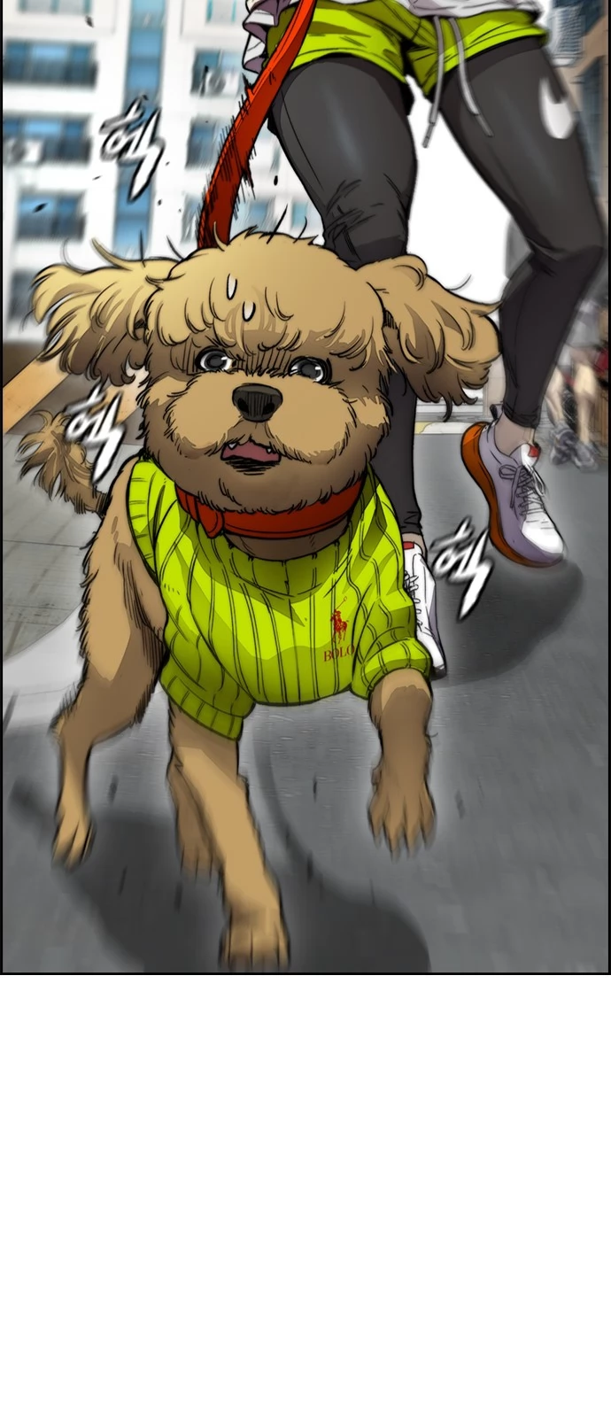 Read Wind Breaker TR Manga Online