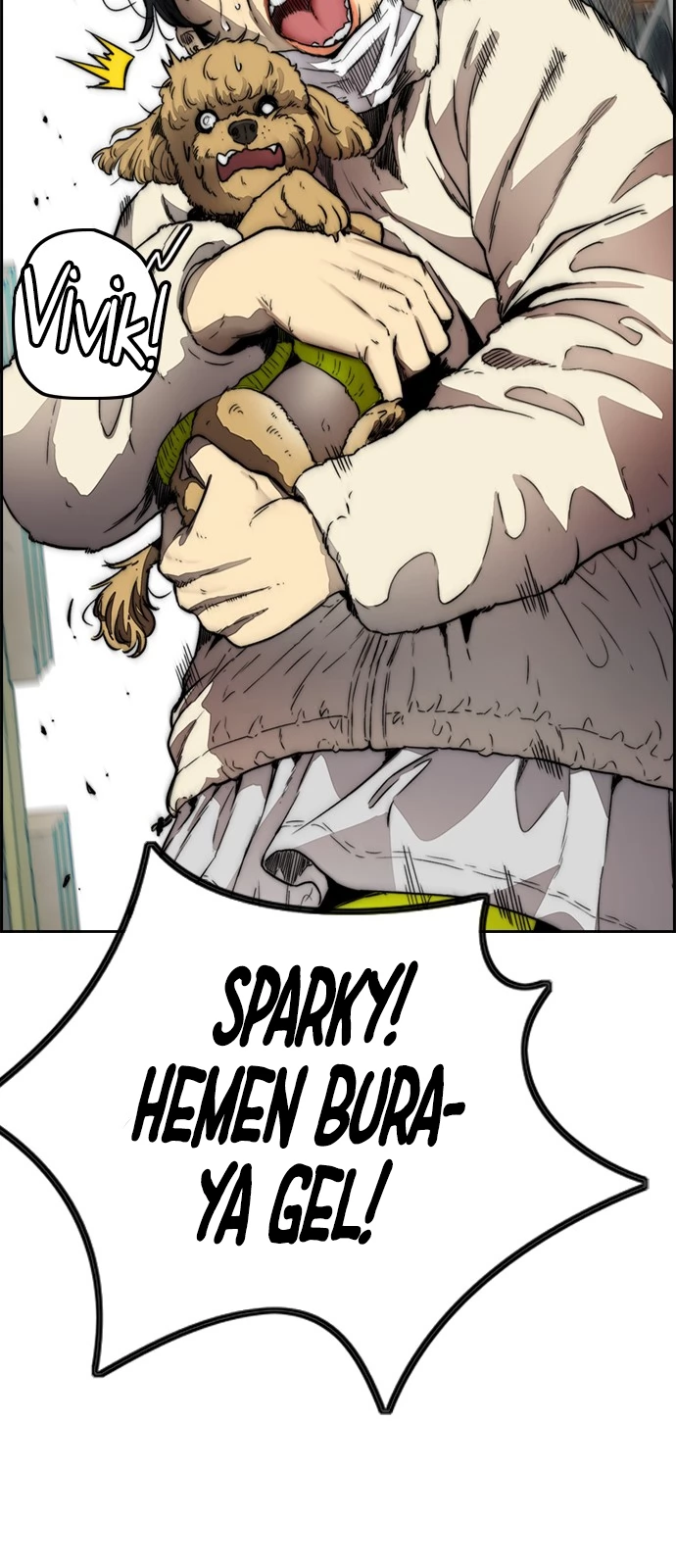 Read Wind Breaker TR Manga Online