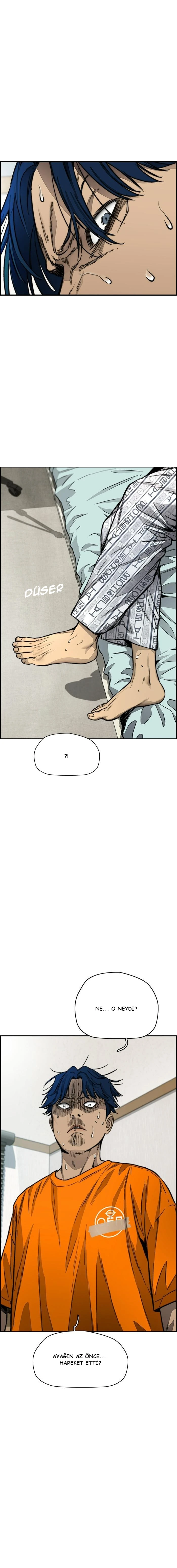 Read Wind Breaker TR Manga Online