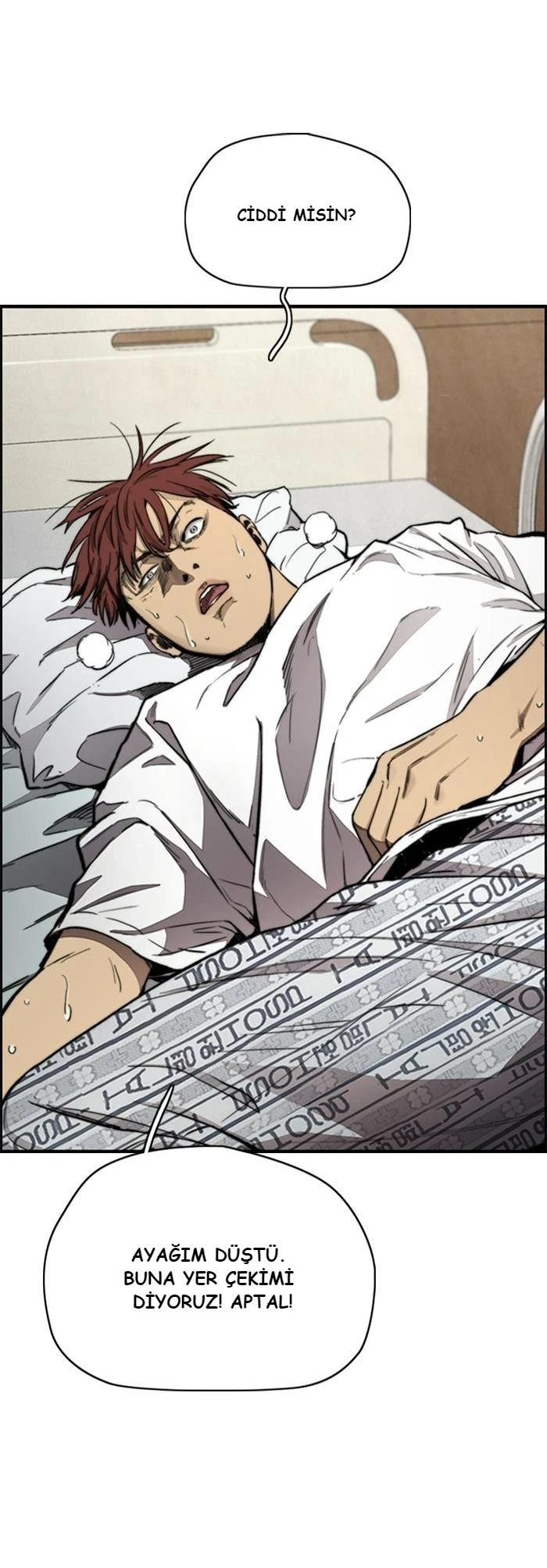 Read Wind Breaker TR Manga Online