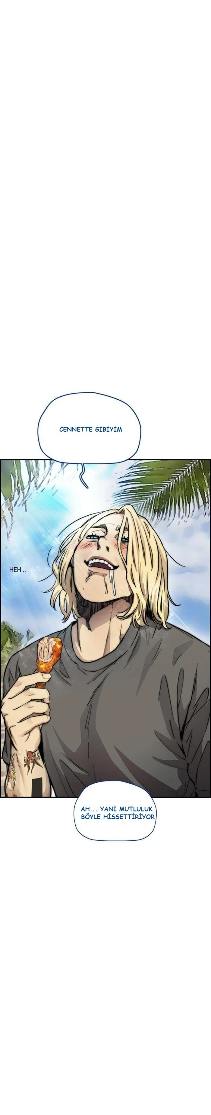 Read Wind Breaker TR Manga Online