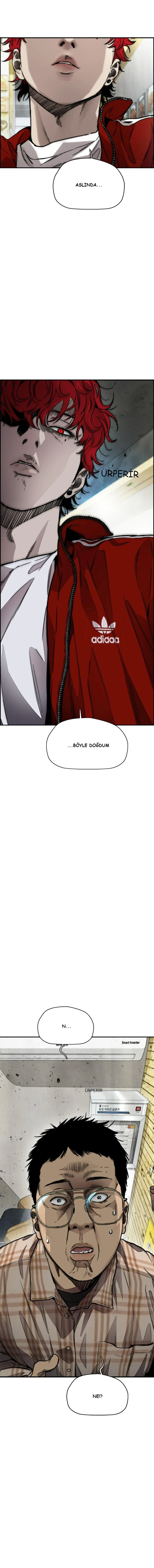 Read Wind Breaker TR Manga Online