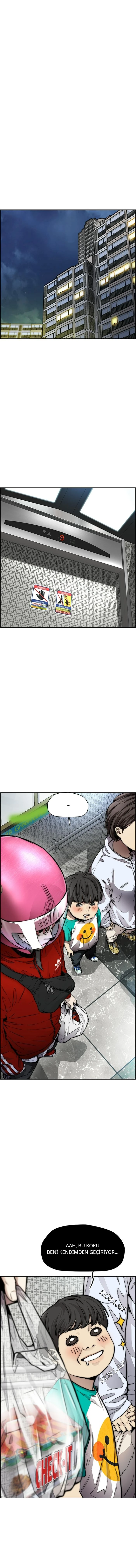 Read Wind Breaker TR Manga Online