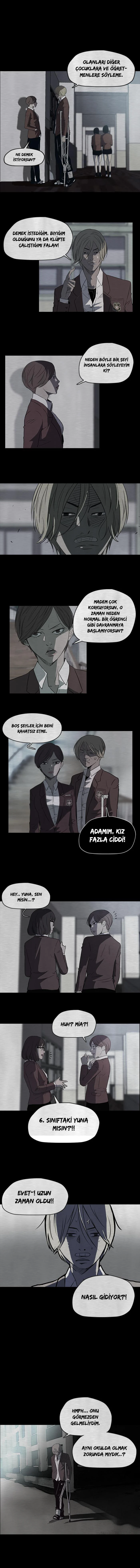 Read Wind Breaker TR Manga Online
