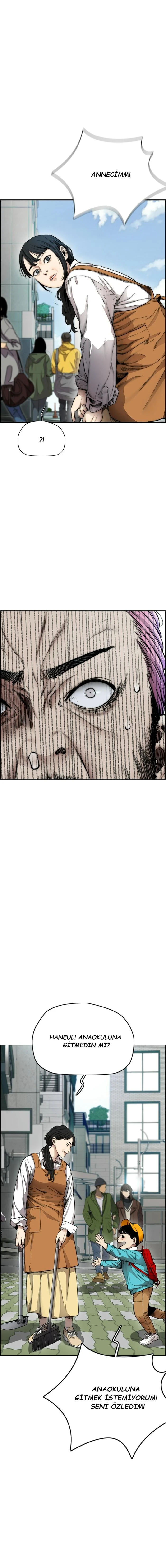 Read Wind Breaker TR Manga Online