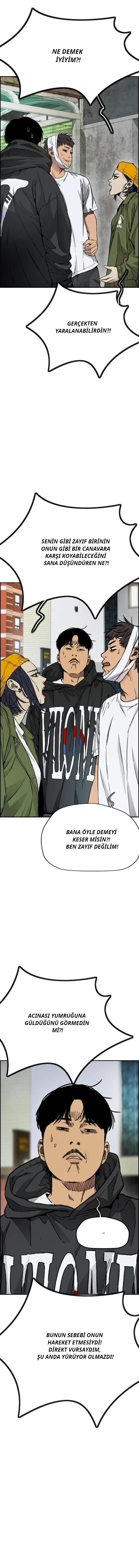 Read Wind Breaker TR Manga Online