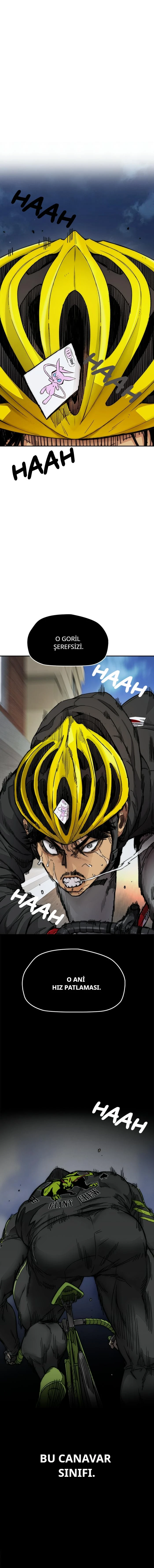Read Wind Breaker TR Manga Online