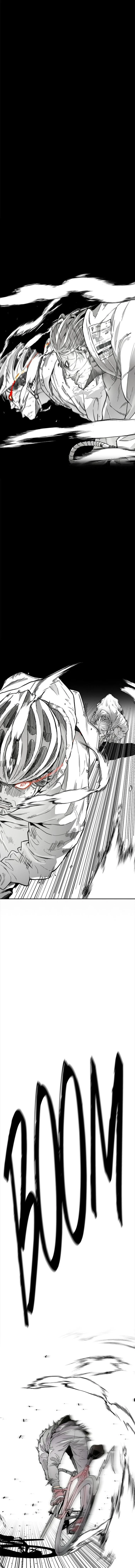 Read Wind Breaker TR Manga Online