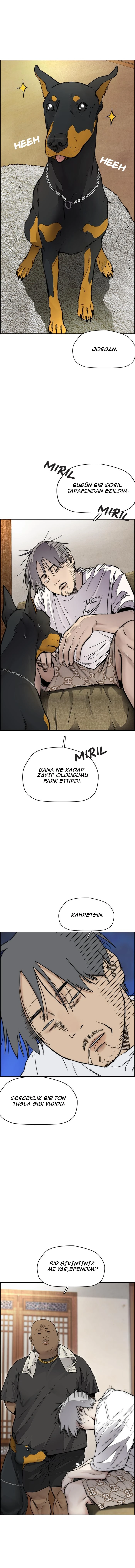 Read Wind Breaker TR Manga Online