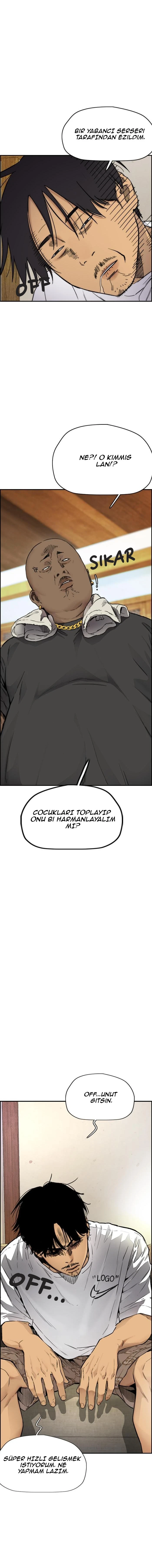 Read Wind Breaker TR Manga Online