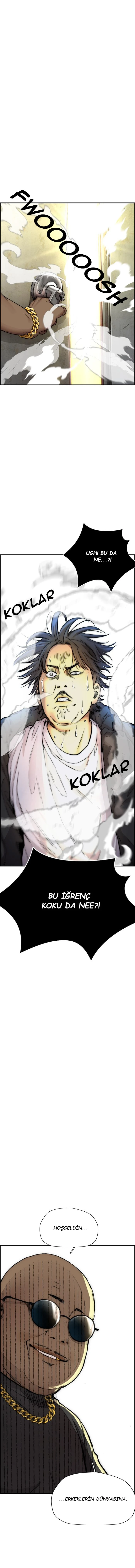 Read Wind Breaker TR Manga Online
