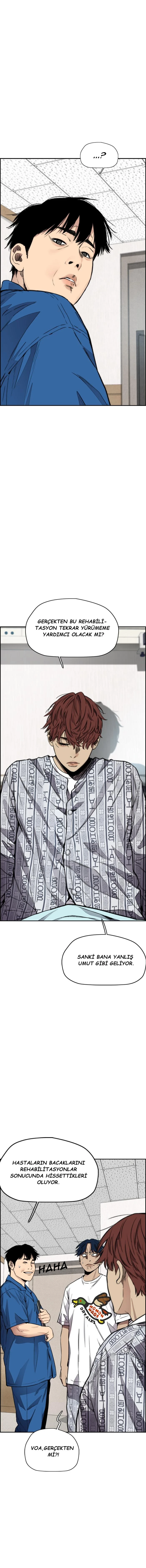 Read Wind Breaker TR Manga Online