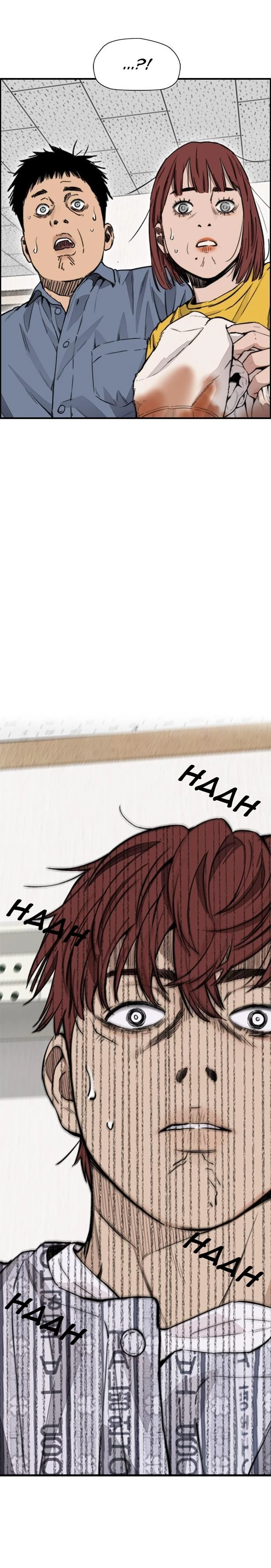 Read Wind Breaker TR Manga Online