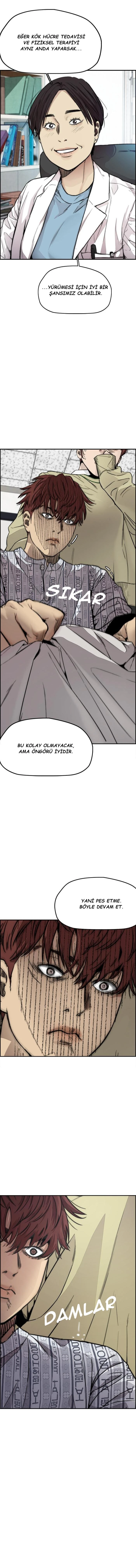 Read Wind Breaker TR Manga Online