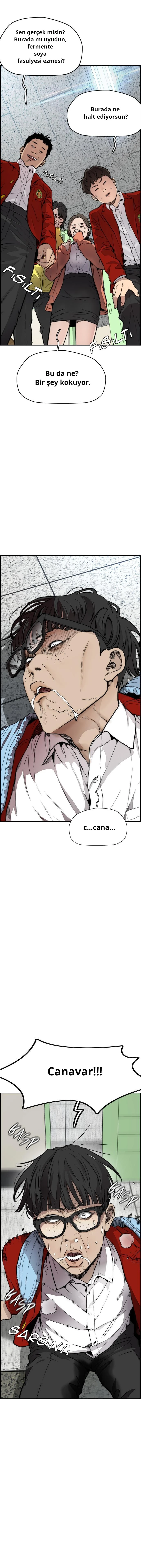 Read Wind Breaker TR Manga Online