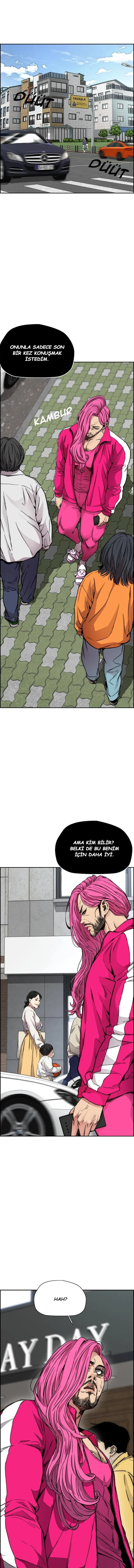 Read Wind Breaker TR Manga Online