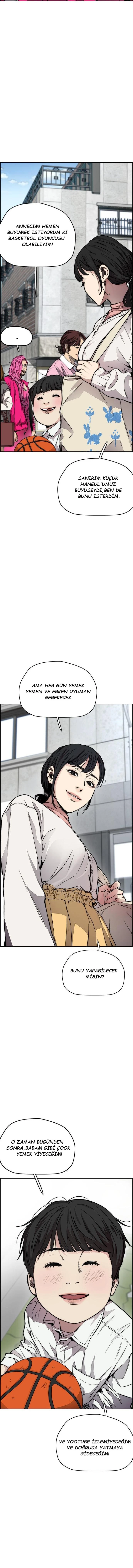 Read Wind Breaker TR Manga Online