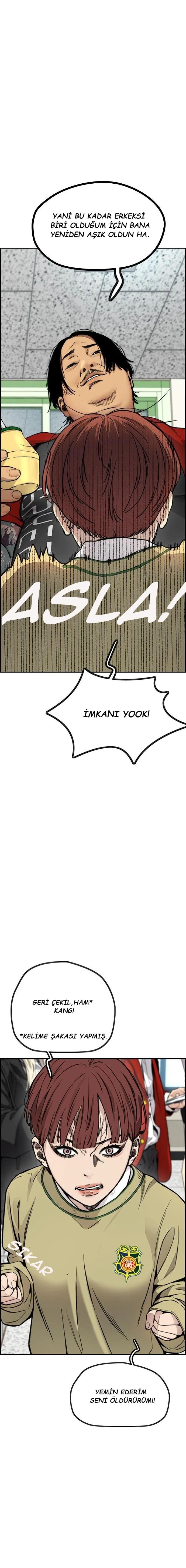 Read Wind Breaker TR Manga Online