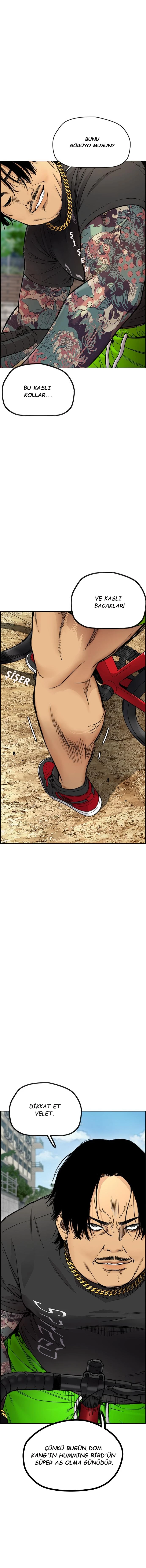 Read Wind Breaker TR Manga Online