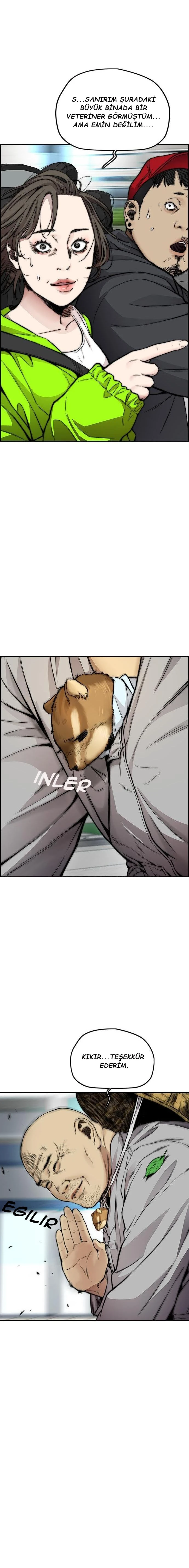 Read Wind Breaker TR Manga Online