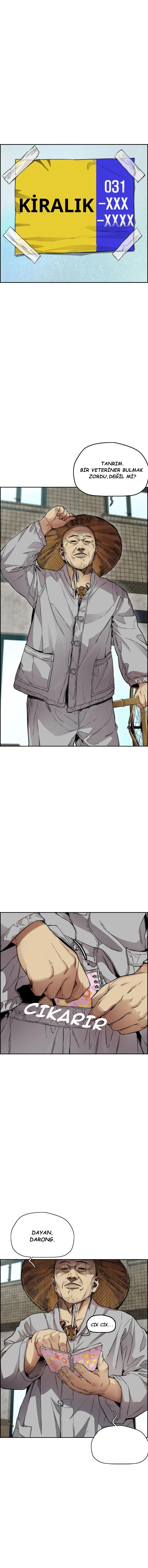 Read Wind Breaker TR Manga Online