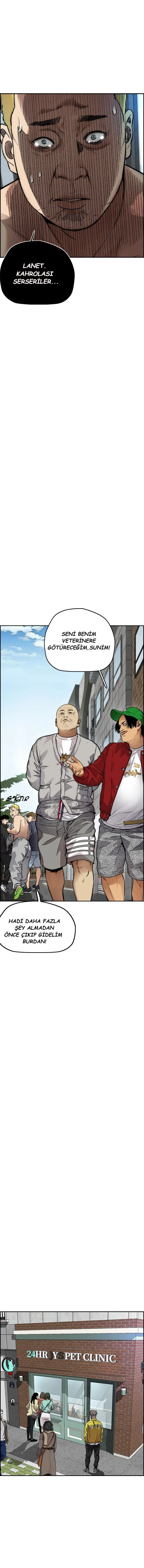 Read Wind Breaker TR Manga Online