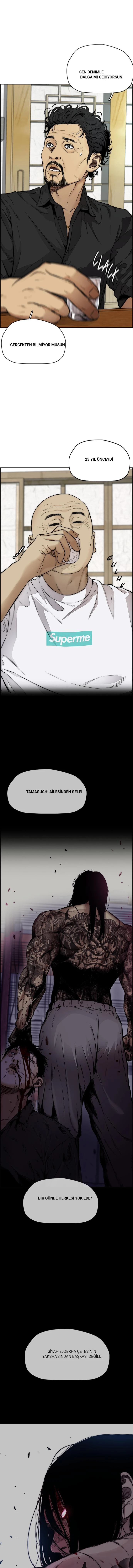 Read Wind Breaker TR Manga Online