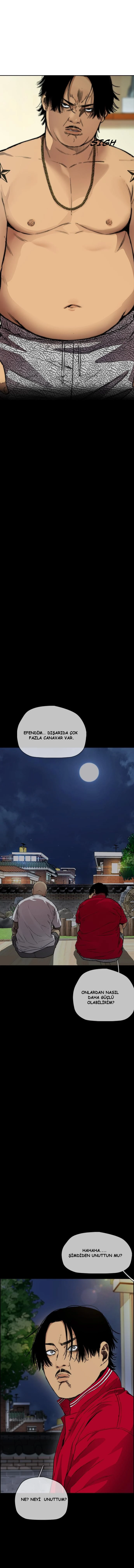 Read Wind Breaker TR Manga Online