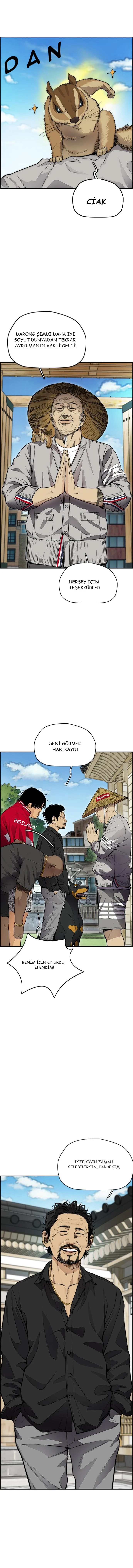 Read Wind Breaker TR Manga Online