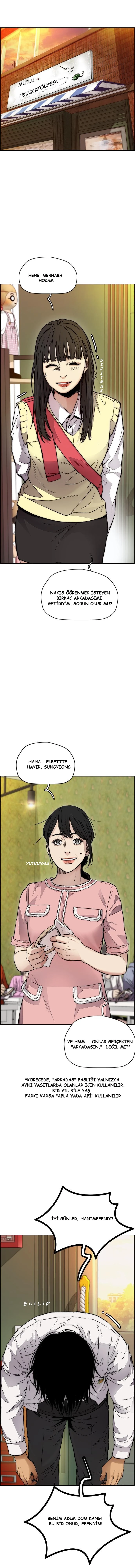 Read Wind Breaker TR Manga Online