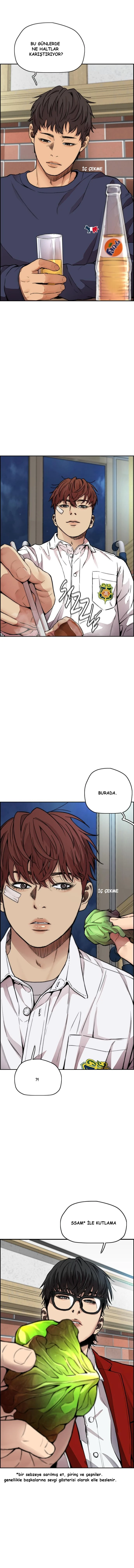 Read Wind Breaker TR Manga Online