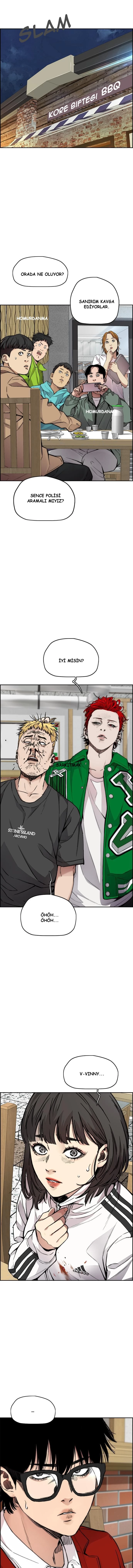 Read Wind Breaker TR Manga Online