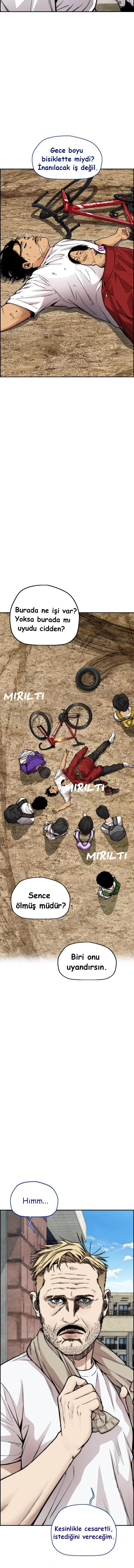 Read Wind Breaker TR Manga Online