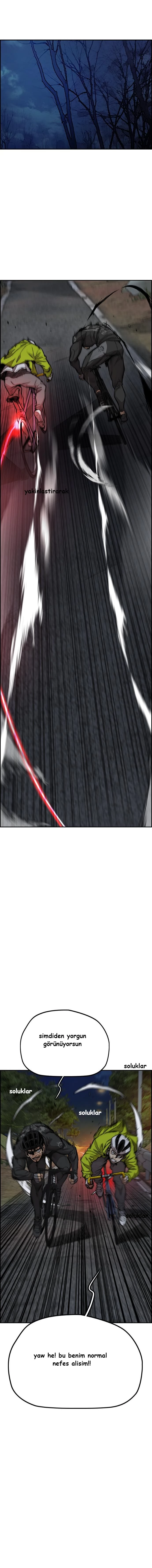 Read Wind Breaker TR Manga Online