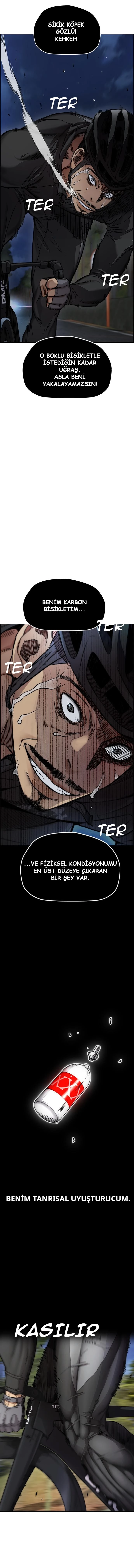 Read Wind Breaker TR Manga Online