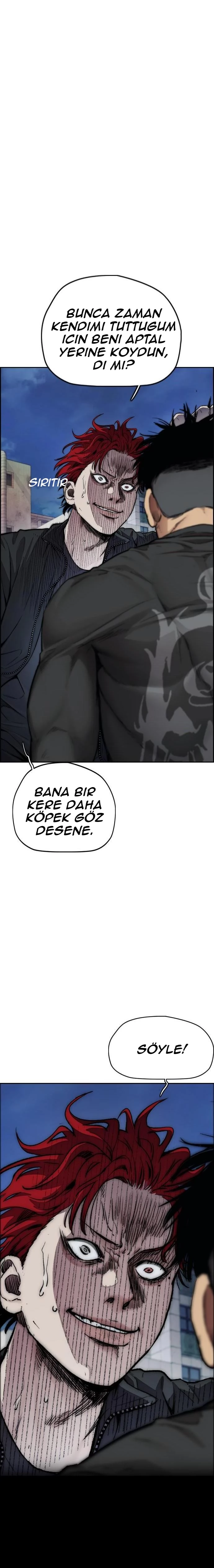 Read Wind Breaker TR Manga Online